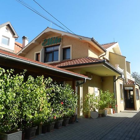 Guesthouse Ellite Požarevac Exteriör bild